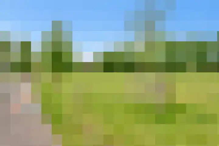 Hoekwant 26 Elburg thumbnail 23