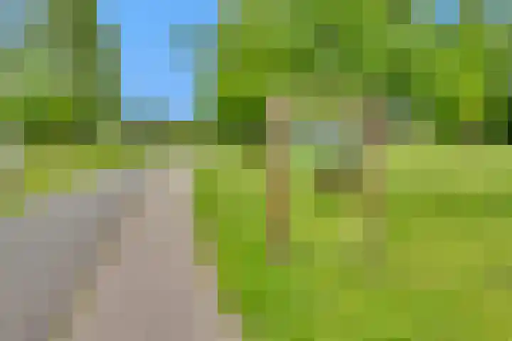 Hoekwant 26 Elburg thumbnail 24
