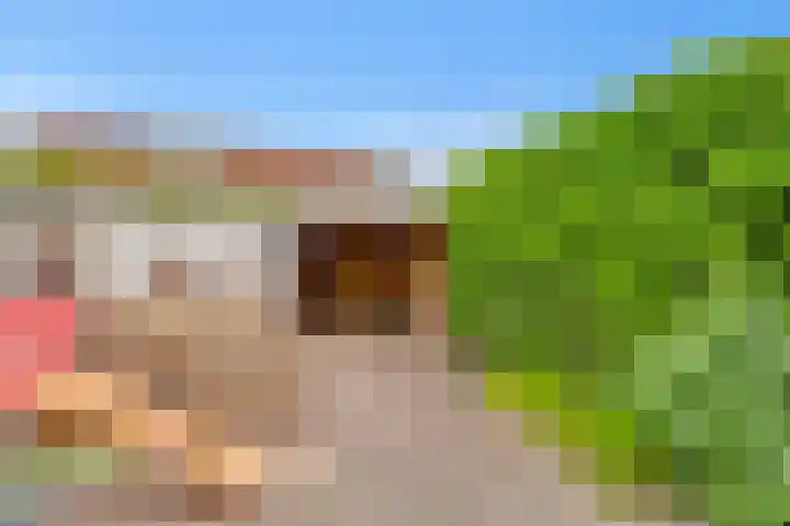 Hoekwant 26 Elburg thumbnail 6