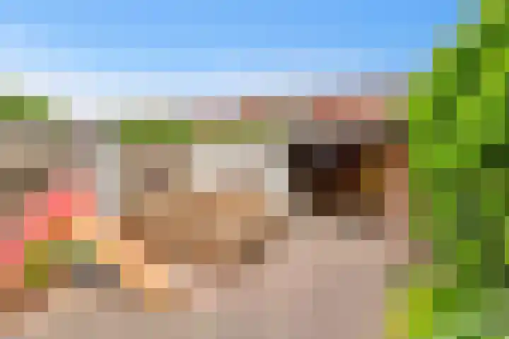 Hoekwant 26 Elburg thumbnail 7