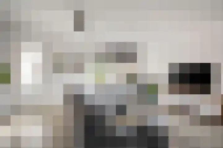 Hoekwant 8 Elburg thumbnail 11