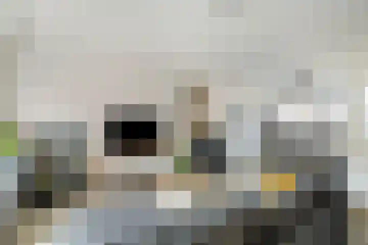Hoekwant 8 Elburg thumbnail 14