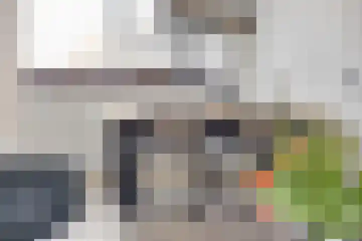 Hoekwant 8 Elburg thumbnail 18