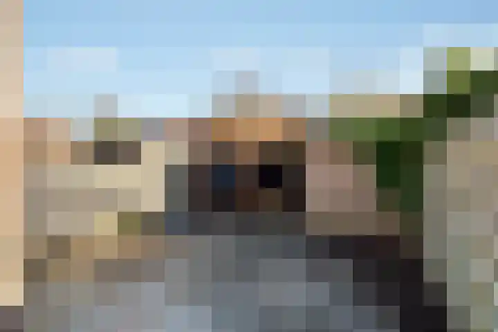 Hoekwant 8 Elburg thumbnail 38