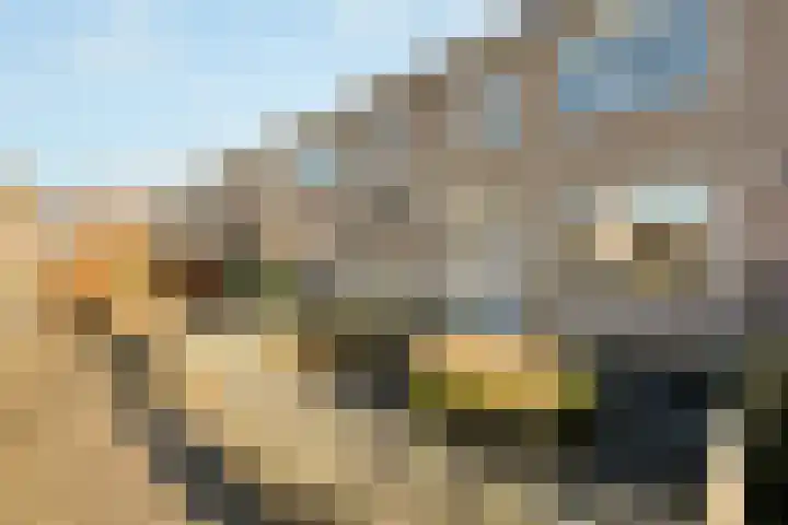 Hoekwant 8 Elburg thumbnail 42