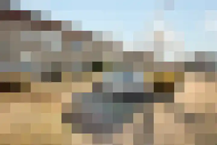 Hoekwant 8 Elburg thumbnail 43