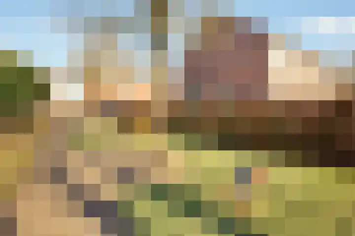 Hoekwant 8 Elburg thumbnail 44