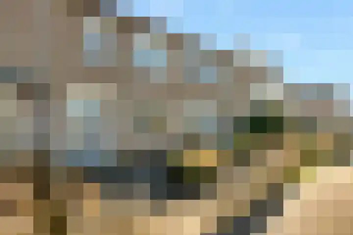 Hoekwant 8 Elburg thumbnail 5