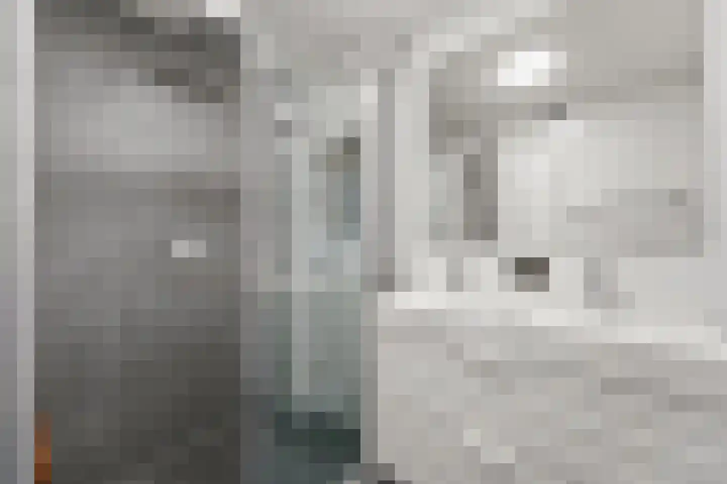 Hoekwaterstraat 108 Voorburg thumbnail 23