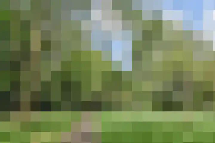 Hoekwaterstraat 2 Voorburg thumbnail 10
