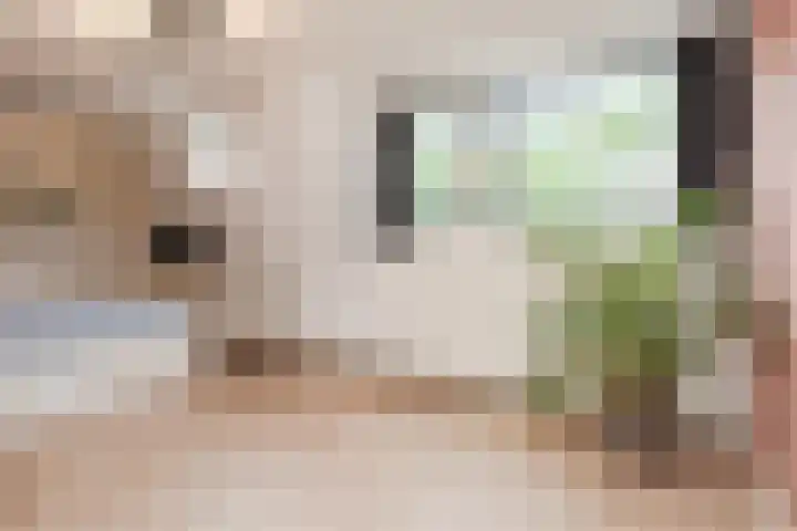 Hoekwaterstraat 2 Voorburg thumbnail 22