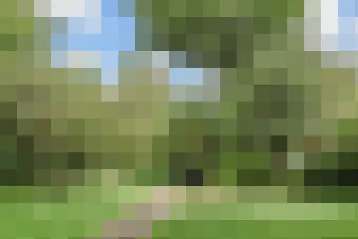 Hoekwaterstraat 2 Voorburg thumbnail 25