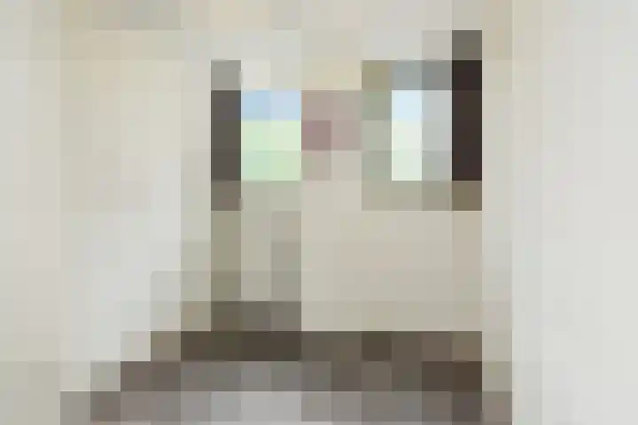Hoekwaterstraat 2 Voorburg thumbnail 27