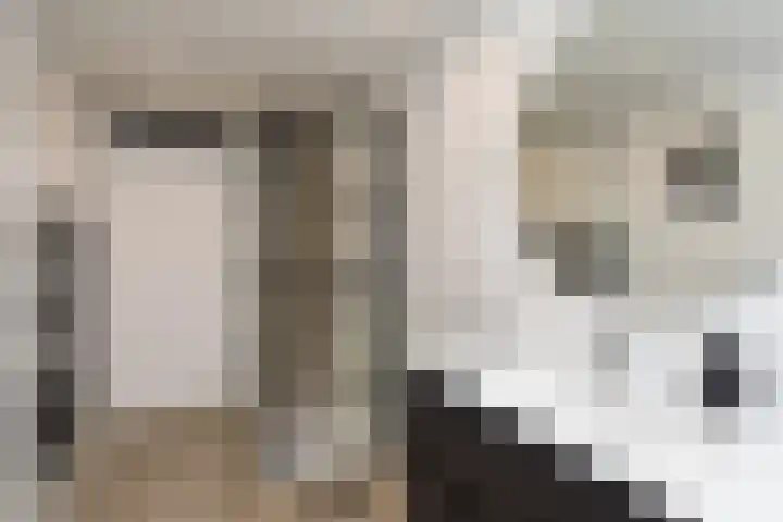 Hoekwaterstraat 2 Voorburg thumbnail 31
