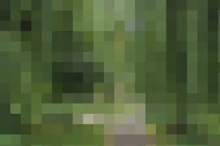 Hoekwaterstraat 2 Voorburg thumbnail 33