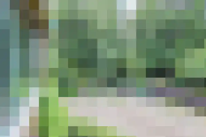 Hoekwaterstraat 2 Voorburg thumbnail 37