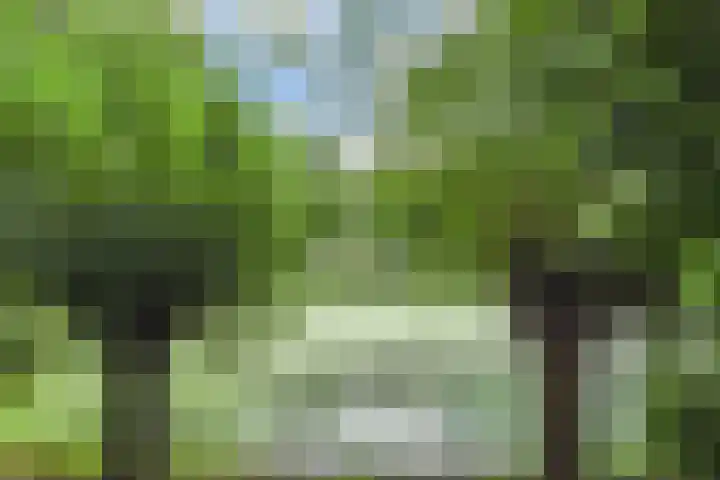 Hoekwaterstraat 2 Voorburg thumbnail 43