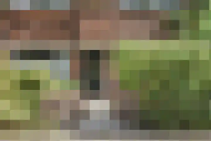 Hoekwaterstraat 2 Voorburg thumbnail 5