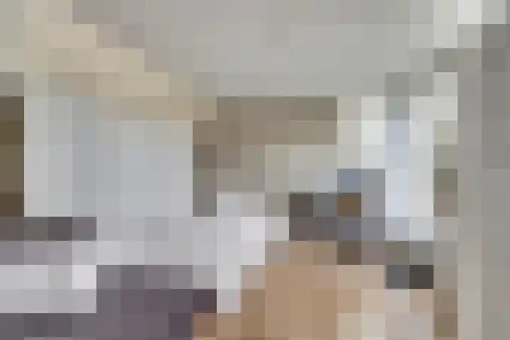 Hoekwaterstraat 52 Voorburg thumbnail 25
