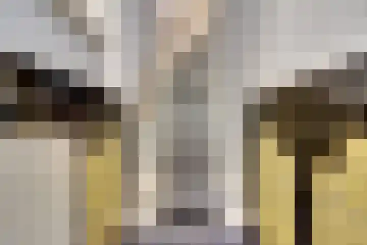 Hoekwaterstraat 52 Voorburg thumbnail 5