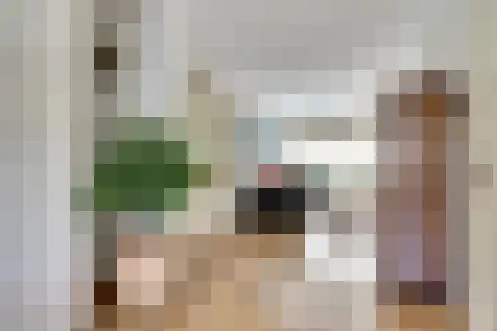 Hoekwaterstraat 52 Voorburg thumbnail 6