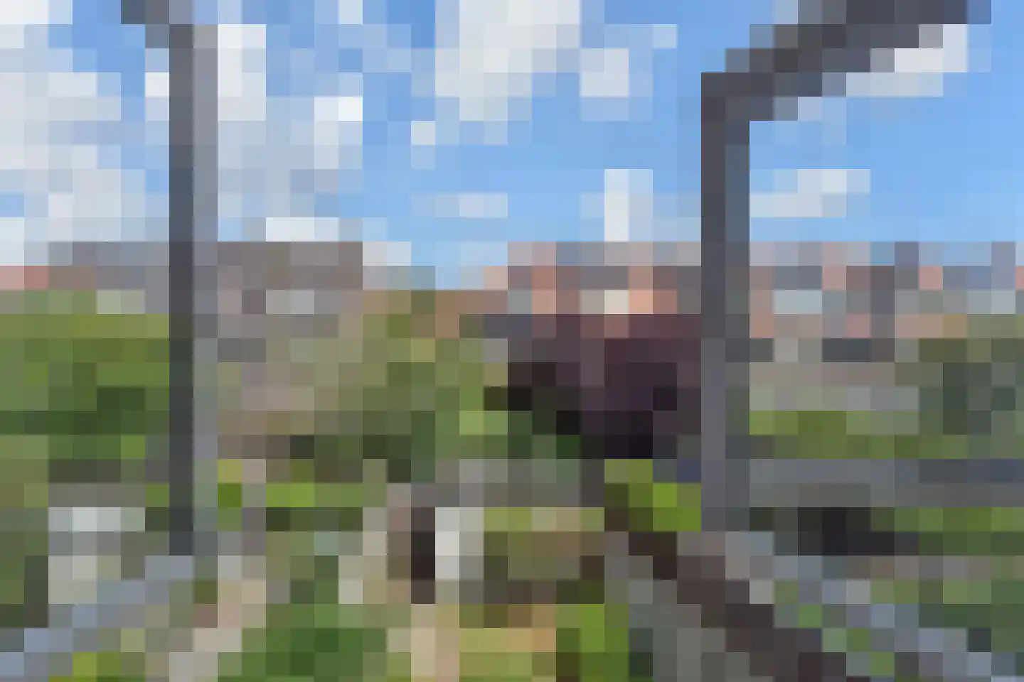 Hoekweg 1 D Voorburg thumbnail 39