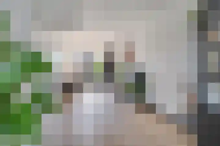 Hoekweg 15 Wijdenes thumbnail 13