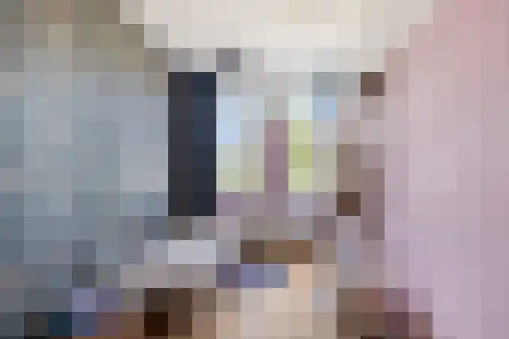 Hoekweg 15 Wijdenes thumbnail 20