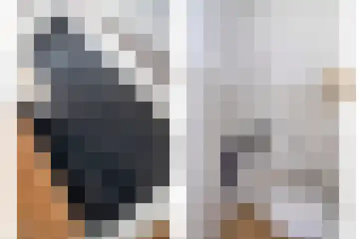 Hoekweg 15 Wijdenes thumbnail 28