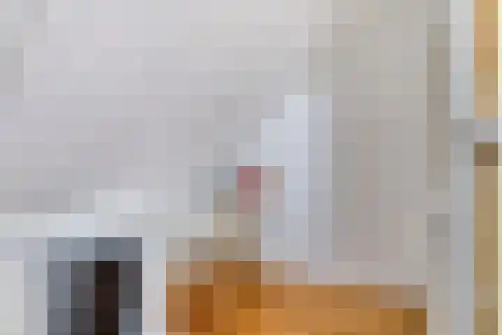 Hoekweg 15 Wijdenes thumbnail 35