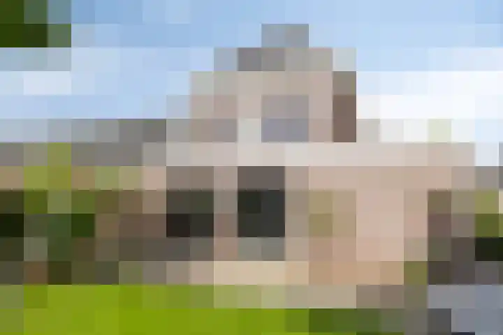 Hoekweg 15 Wijdenes thumbnail 38