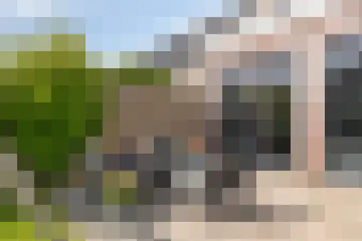 Hoekweg 15 Wijdenes thumbnail 39