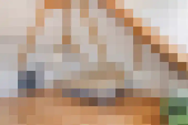 Hoekweg 15 Wijdenes thumbnail 4
