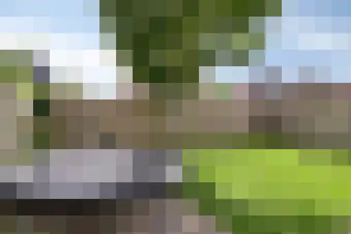 Hoekweg 15 Wijdenes thumbnail 40