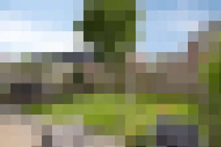 Hoekweg 15 Wijdenes thumbnail 41