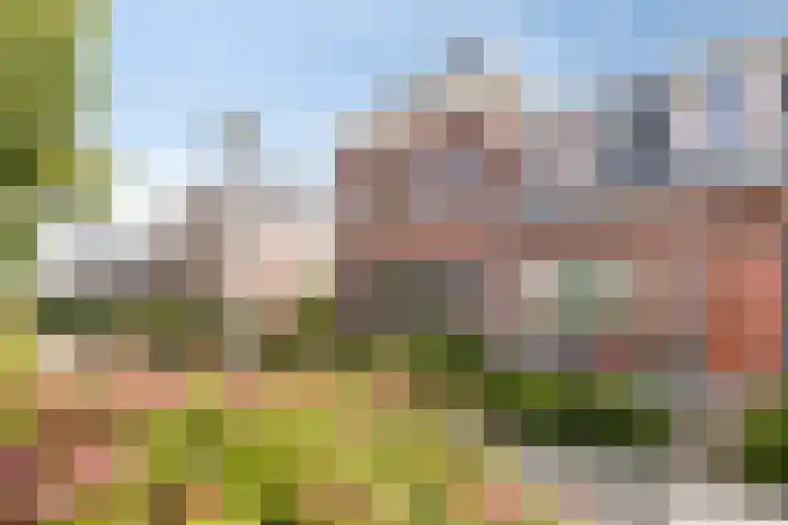 Hoekweg 15 Wijdenes thumbnail 45