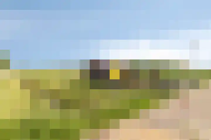 Hoekweg 15 Wijdenes thumbnail 49