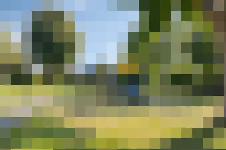 Hoekweg 15 Wijdenes thumbnail 50