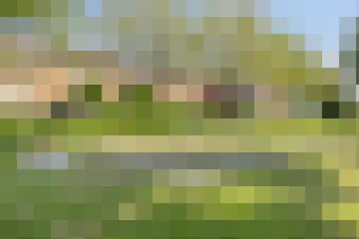 Hoekweg 15 Wijdenes thumbnail 51
