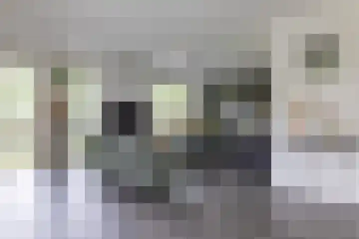 Hoekweg 18 Vroomshoop thumbnail 11