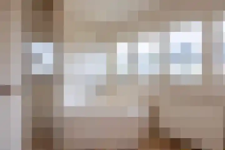 Hoekweg 18 Vroomshoop thumbnail 28