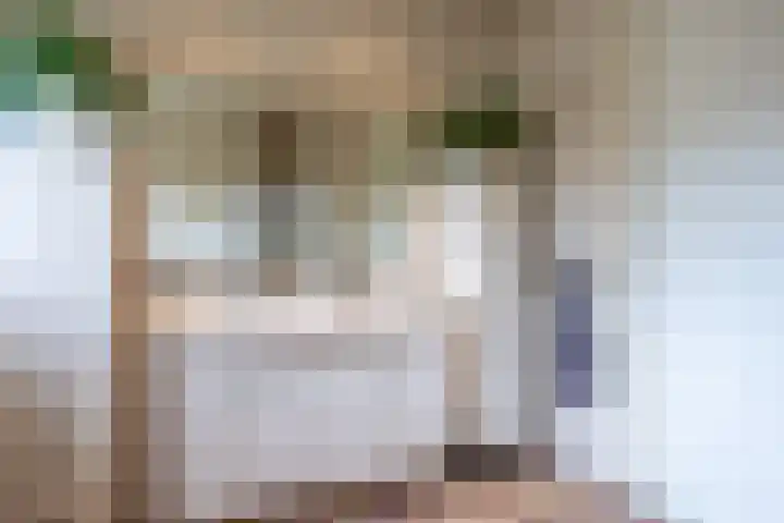 Hoekweg 18 Vroomshoop thumbnail 30