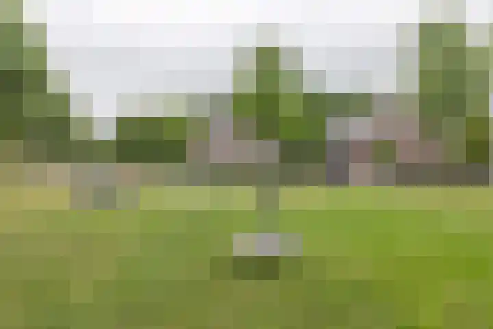 Hoekweg 18 Vroomshoop thumbnail 34