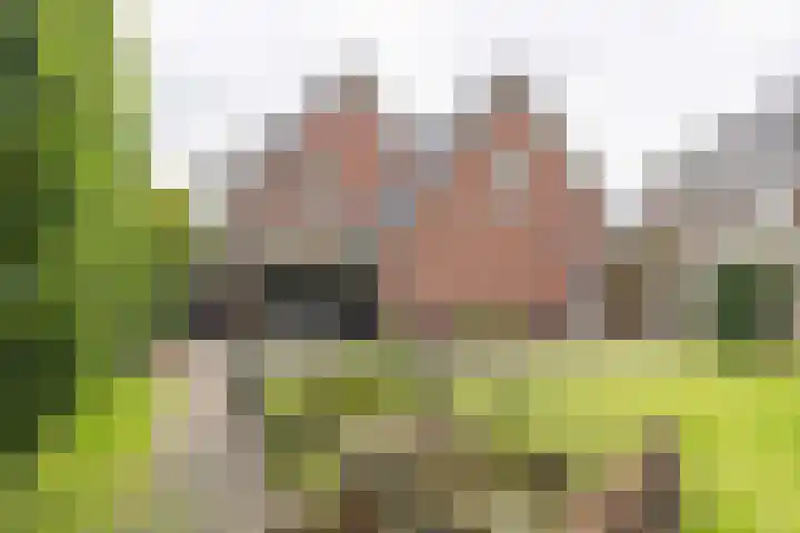 Hoekweg 18 Vroomshoop thumbnail 36