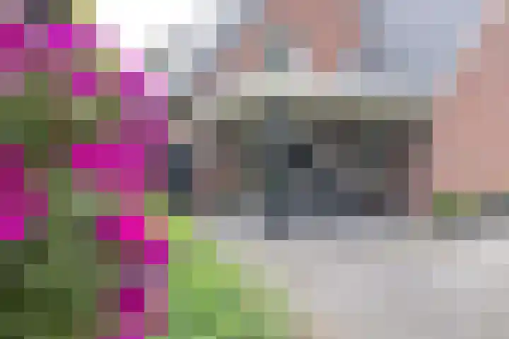 Hoekweg 18 Vroomshoop thumbnail 38