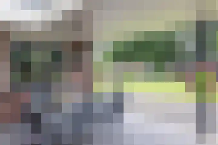 Hoekweg 18 Vroomshoop thumbnail 39
