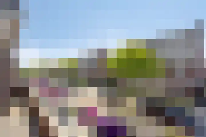 Hoekweg 18 Vroomshoop thumbnail 41