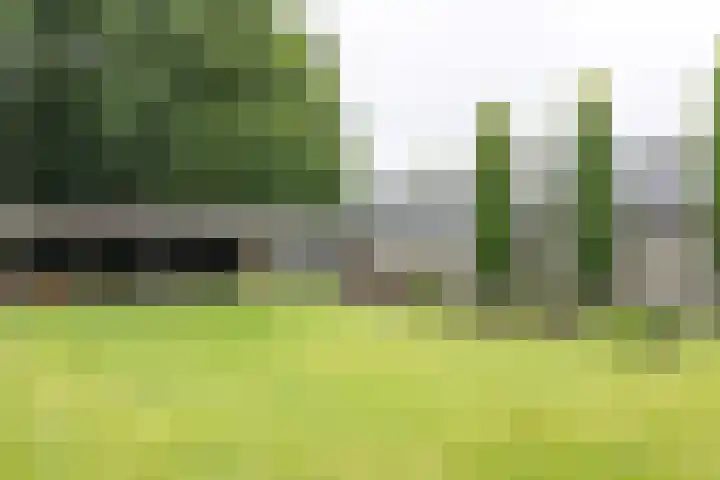 Hoekweg 18 Vroomshoop thumbnail 42