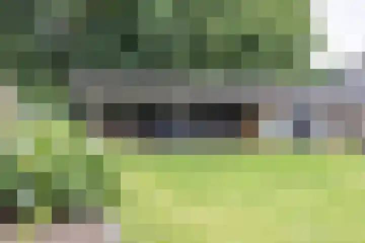 Hoekweg 18 Vroomshoop thumbnail 43