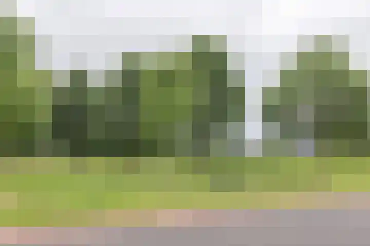 Hoekweg 18 Vroomshoop thumbnail 47